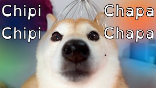 Chipi Chipi Chapa Chapa Dubi Dubi Daba Daba Doge [upl. by Prospero231]