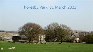 Thoresby Park 31st march 2021 [upl. by Terencio]