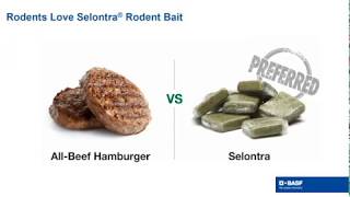 Selontra® Rodent Bait Webinar [upl. by Anirahs]