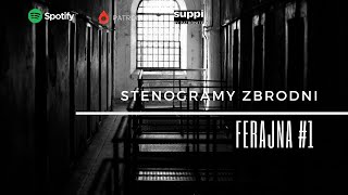 Stenogramy zbrodni™  FERAJNA 🎧1  kryminał podcast słuchowisko antykryminał [upl. by Orecul]