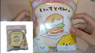 HOW TO MAKE A PAPER SQUISHY SHIBA TOAST 3D WITH PACKAGING [upl. by Sedinoel]