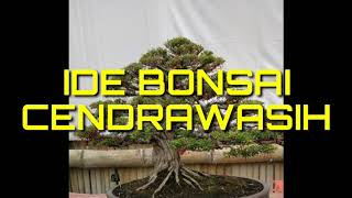 Ide Bonsai Cendrawasih [upl. by Nyloj286]