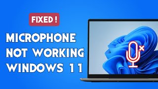 Laptop Microphone Not Working Windows 11  FIXED [upl. by Leelah918]