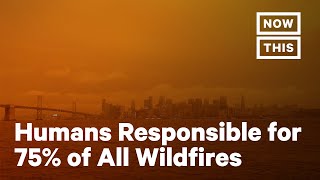 How Humans and Climate Change Are Making Wildfires Worse  NowThis Earth [upl. by Ahseya656]