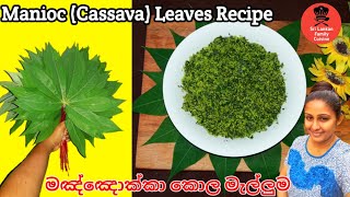 මඤ්ඤොක්කා කොළ මැල්ලුම Manioc Leaves Recipe  Cassava Leaves Recipe [upl. by Zollie604]