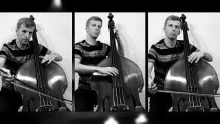 O Come O Come Emmanuel  Double Bass Trio by Tim Teissen [upl. by Barri]