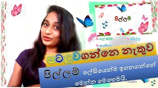 Types of Pillam in the sinhala language සරලවම පිල්ලම් වර්ග පටලවගන්නෙ නැතුව ලෙසියෙන්ම ඉගන්ගමු [upl. by Angle]