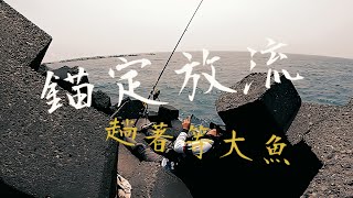 「錨定放流釣組」教學 躺著放也能登大物活魚放流沉底大物DAIWA BKG MH480 [upl. by Trebled]