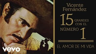 Vicente Fernández  El Amor de Mi Vida Tema Remasterizado Cover Audio [upl. by Attenrev]