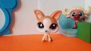 Minişler Markette 2  Minişler LPS Pati  Littlest Pet Shop [upl. by Okihcim547]