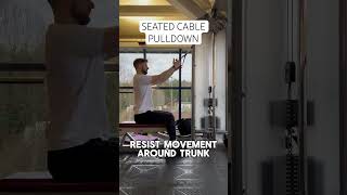 Seated Cable Pulldown [upl. by Anayik]