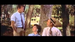 Picnic Trailer 1955 William Holden Kim Novak [upl. by Schwartz]