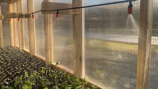 CHEAP greenhouse watering system [upl. by Ynnaffit]