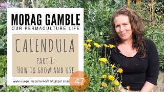 Calendula Part 1 How to Grow and Use [upl. by Danzig]