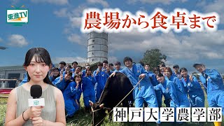 【神戸大学農学部】神戸で農業や健康から経済・経営まで幅広く学べる｜科学への好奇心をモチベーションに課題解決 神戸大学農学部 神戸大学 農学部 [upl. by Rolfe]