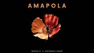 Amapola Natanael Cano x Nueva H [upl. by Irrehc]