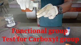 Test for carboxyl group Functional group class 12 chemistry practical file [upl. by Hesketh559]