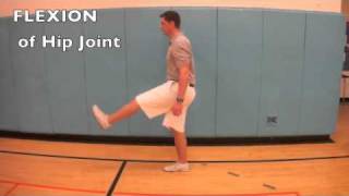 B14 Compare movements of the hip joint and knee joint [upl. by Busch197]