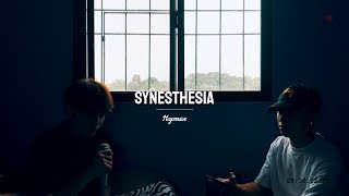 SYNESTHESIA  Dave Carlos amp Fern Cover [upl. by Ahselet]