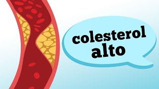 Orientações Nutricionais para Hipercolesterolemia colesterol alto [upl. by Burke]