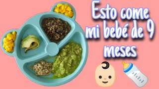 Desayuno Comida y Cena para bebés de 9 meses 👶🏻🍼 recetas fáciles y saludables [upl. by Molly18]