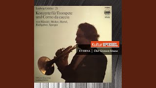 Concerto for Trumpet and Oboe in EFlat Major I Allegro [upl. by Magnien]