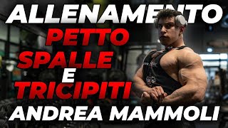 ALLENAMENTO PETTO SPALLE E TRICIPITI CON ANDREA MAMMOLI [upl. by Ebonee]