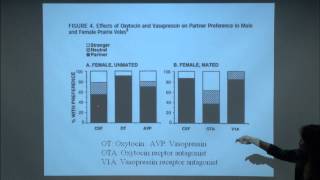 Brain and Behavior  Neurobiology of Love [upl. by Neleag]