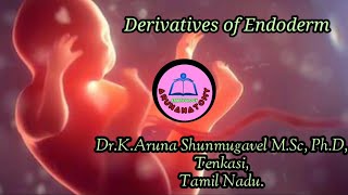 Arunanatomy  Embryology  Derivatives of Endoderm  Animated Video [upl. by Arit]