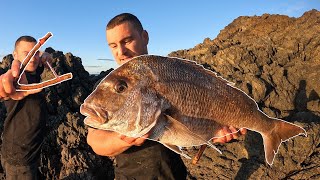 Biggest Snapper ever shot  homemade Slingshot [upl. by Teplitz275]