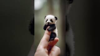 Cutest little Panda cuteanimals ai minianimals babyanimals tinyanimals aianimals panda [upl. by Verlie159]