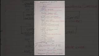 Biosynthesis of Pyrimidine biochemistry bpharmacy pyrimidine shortsyt trendingshorts viral [upl. by Kippie701]