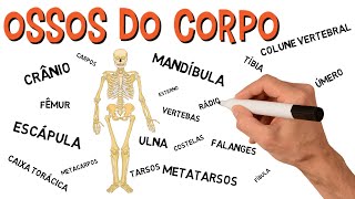 ✅ OSSOS DO CORPO  ESQUELETO HUMANO [upl. by Ehsrop]