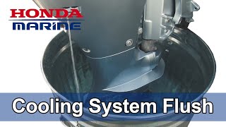 Honda Marine DIY Cooling System Flush Procedure [upl. by Ester]