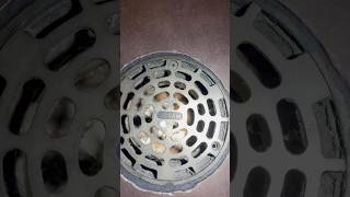 Fast Food Floor Drain Fix – Clearing the Clog amp Stopping Sewer Smell asmr diy fyp shorts short [upl. by Heywood727]