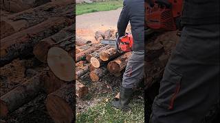 Бензопила производство  Италия Chainsaw Oleomac GS650 35кВт chainsaw бензопила [upl. by Culosio]