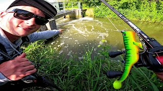 GROS POISSON inattendu dans cette CASCADE  pêche du brochet au leurre feat tristanhedouin [upl. by Ardnasirk923]