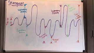 Understanding the Spirogram [upl. by Nottus]