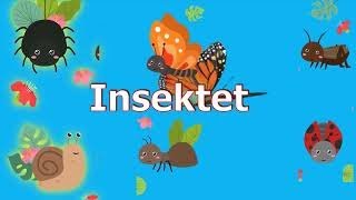 Insektet punëtore Video për fëmijë në shqip Abc shqip [upl. by Lindner]