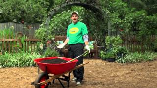 Howto Plant a New Tall Fescue Lawn from Grass Seed [upl. by Diandra4]