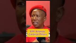 When EFF Promises EFF delivers defenddemocracy juliusmalema eff shorts [upl. by Kirt]