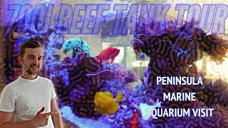 REEF AQUARIUM TOUR  Mixed coral reef tank [upl. by Saturday]