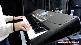 Korg PA600 Магазин quotВІВОquot [upl. by Nahsin824]