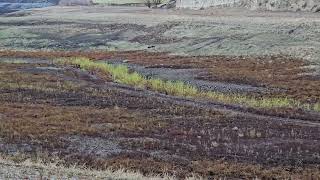 Beaver Creek at the former Copco Reservoir 3  Nov 24 2024 [upl. by Orland115]