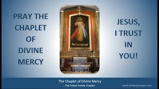 Pray the Chaplet of Divine Mercy [upl. by Denyse423]