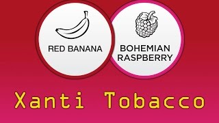 Xanti Tobacco Red Banana amp Bohemian Raspberry im Test [upl. by Bevus]