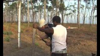 Nyinyikay Yolngu Cultural Experience  Sharing the Spirit of the Land [upl. by Ataliah666]