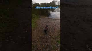 „Novemberblues Du bist nicht allein“ suchtfrei depression nature [upl. by Revlis]