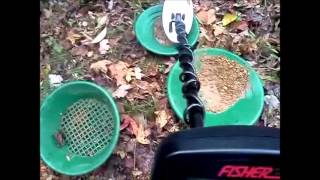 Fisher Gold Bug Pro Metal Detecting Gold Prospecting [upl. by Lepley]