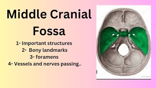 Middle cranial fossa  bony landmarks and foramens [upl. by Carnay]